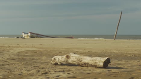 wooden log and a small fishing boat behind, on a sandy caribbean beach