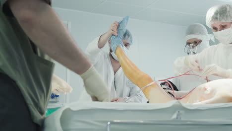 man doctor raises leg of patient. experienced surgical team prepares patient for coronary artery bypass surgery on operating table in hospital