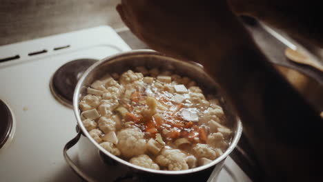 gettare verdure fresche e tagliate in pentola con acqua bollente preparare la zuppa, chiudere a mano