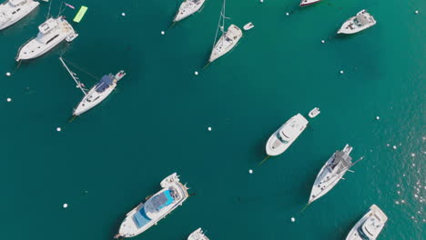 Toma-Aérea-De-Botes-En-Aguas-Cristalinas-Del-Océano,-Perspectiva-De-Drones-De-Botes-En-El-Puerto-Azul-Turquesa-En-La-Isla-Catalina