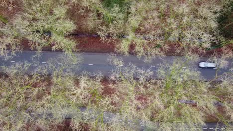 drone-shot-above-road,-with-car-driving-across