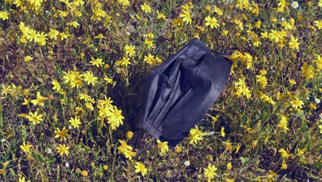 Máscara-Facial-Covid-Negra-Descartada-En-La-Hierba-Del-Parque-De-Flores-Silvestres-Con-Brisa