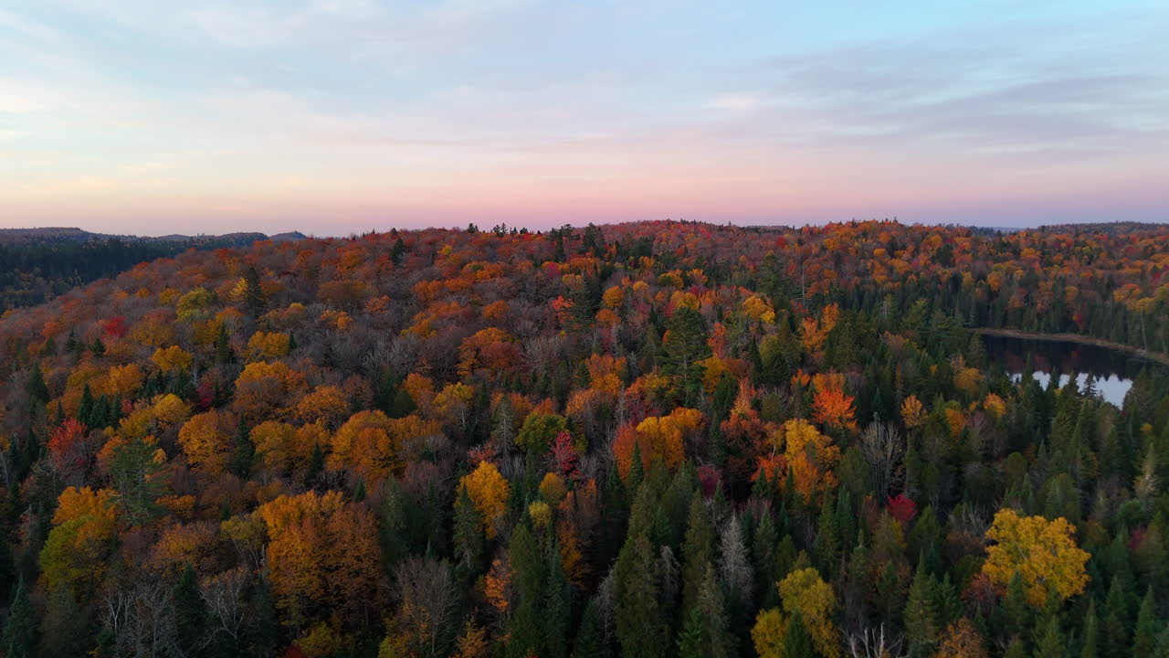 Aerial view at morning golden hour over a vibrant autumn forest, lake, and mountains in Mauricie, Quebec, Canada. Soft light reveals the rich fall colors