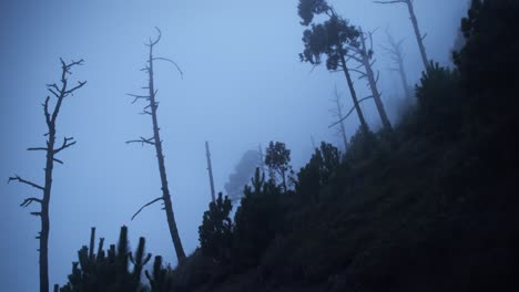 Unheimliches-Wandern-In-Einer-Wolke-Auf-Einem-Vulkan-4