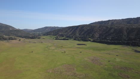 Grüne-Ebene-Trifft-Auf-Berge-Im-Lake-Henshaw,-San-Diego-County,-Kalifornien,-USA