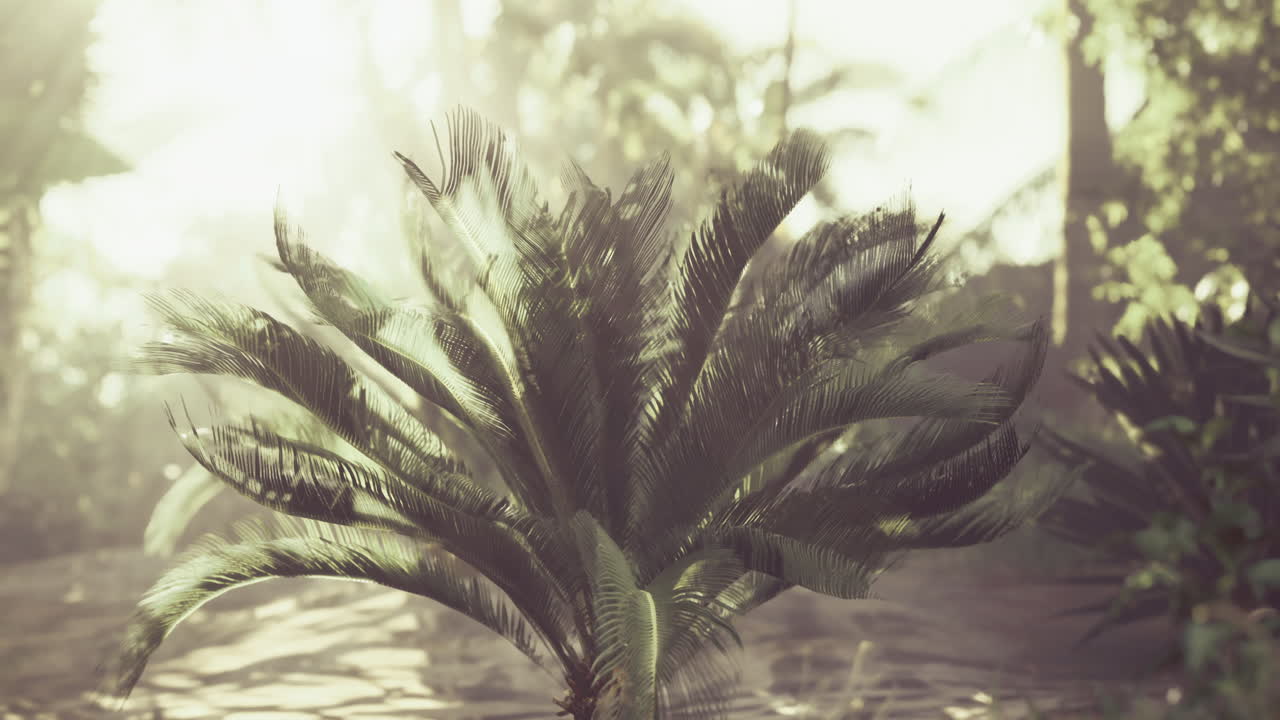 Sunlight filters through tropical foliage in a serene jungle setting