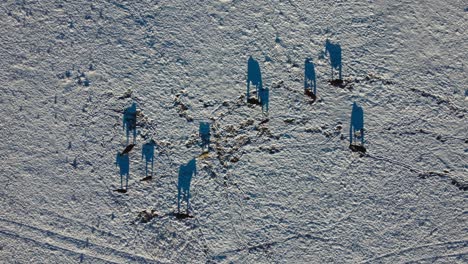 horses with snow from above narrowing wide