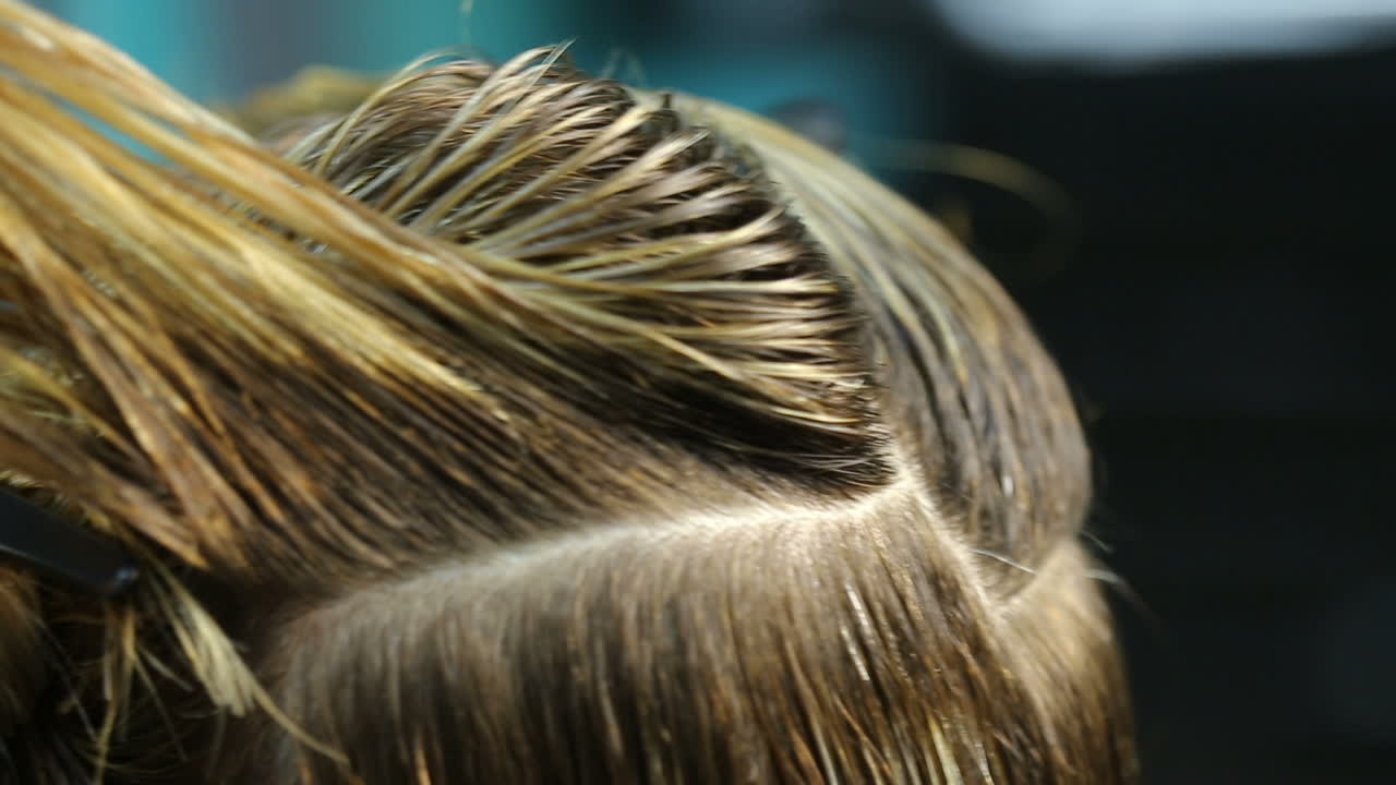 Professional hairdresser dyeing hair of woman at salon