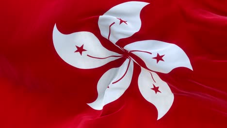 full screen hong kong flag is waving slowly