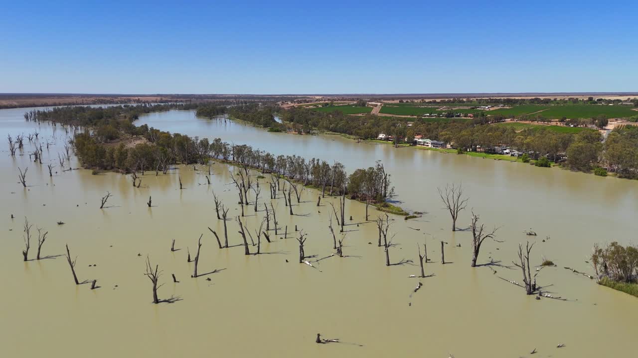 Orbita aerea alta che rivela ampie pianure allagate con alberi sparsi e orizzonte lontano, Blanchetown, Adelaide, Australia