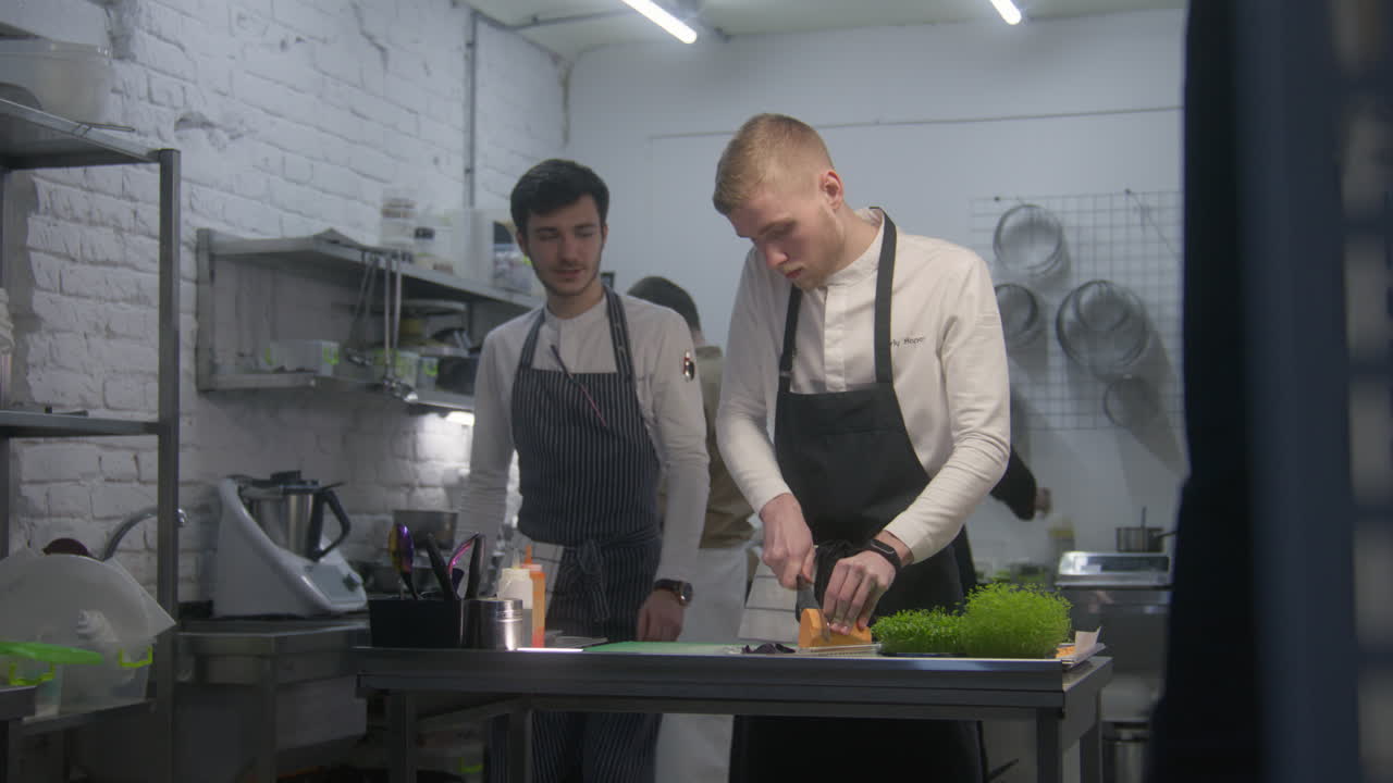 Chef Team Preparing Food in a Restaurant Kitchen