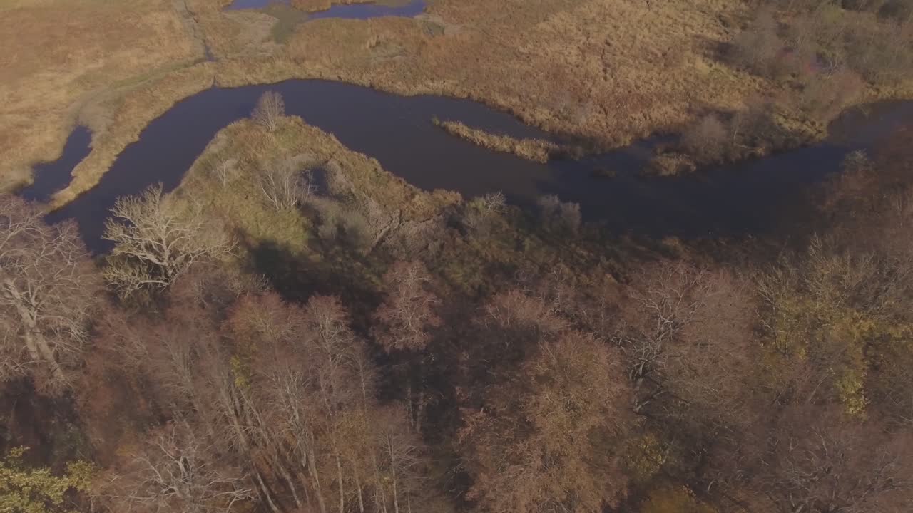 las orillas del río serpenteante cubierto de juncos y árboles en un soleado día de otoño-1