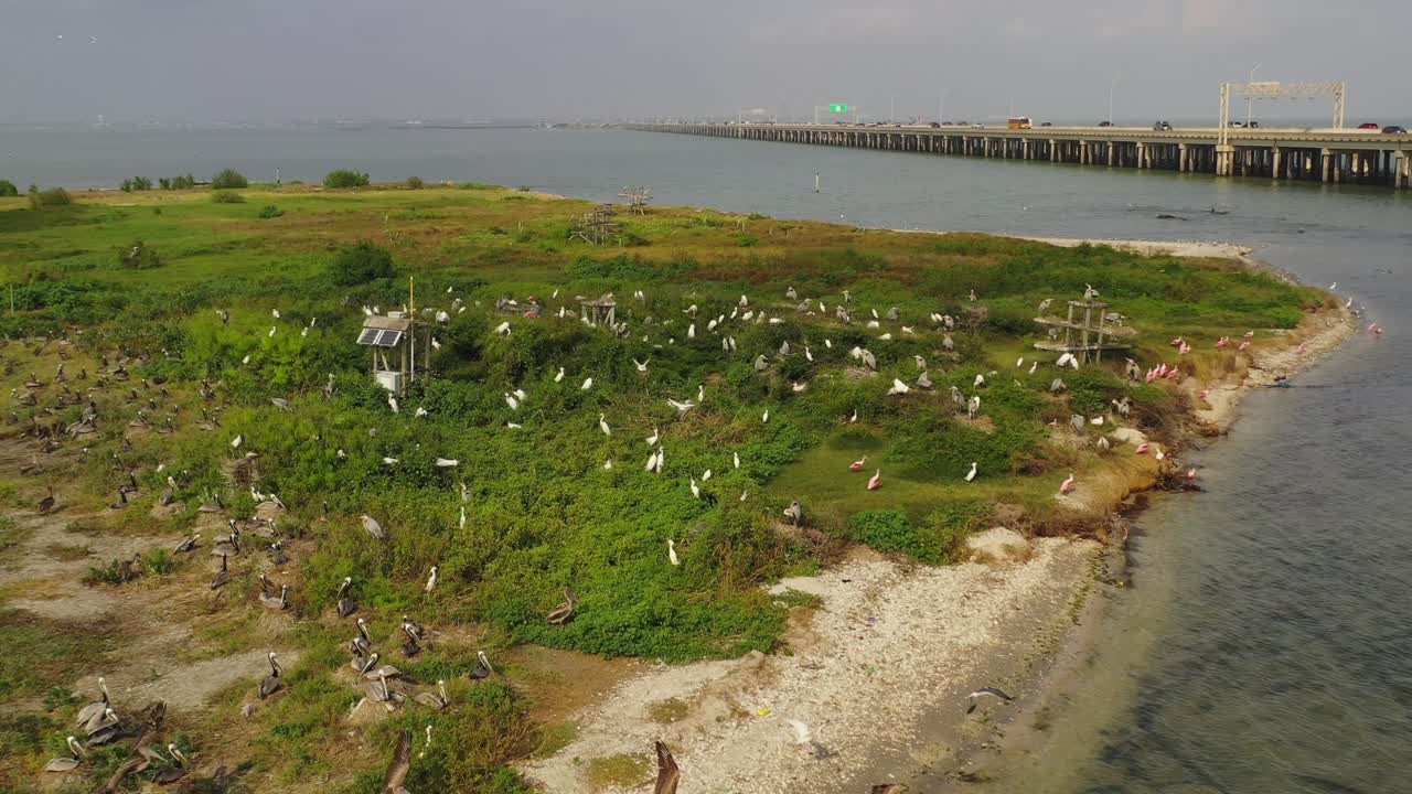 Small island hosting seabirds in Nueces Bay Texas