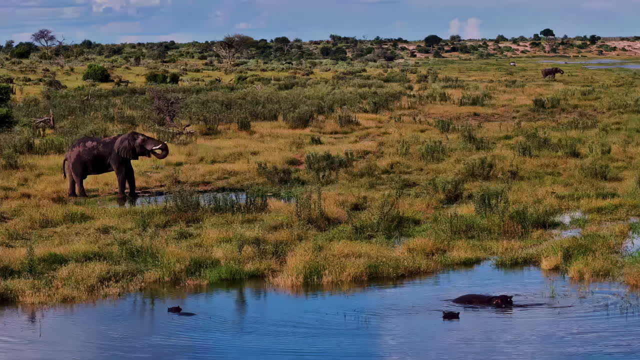 En afrikansk elefant står nær et vannhull i et vidstrakt savannelandskap