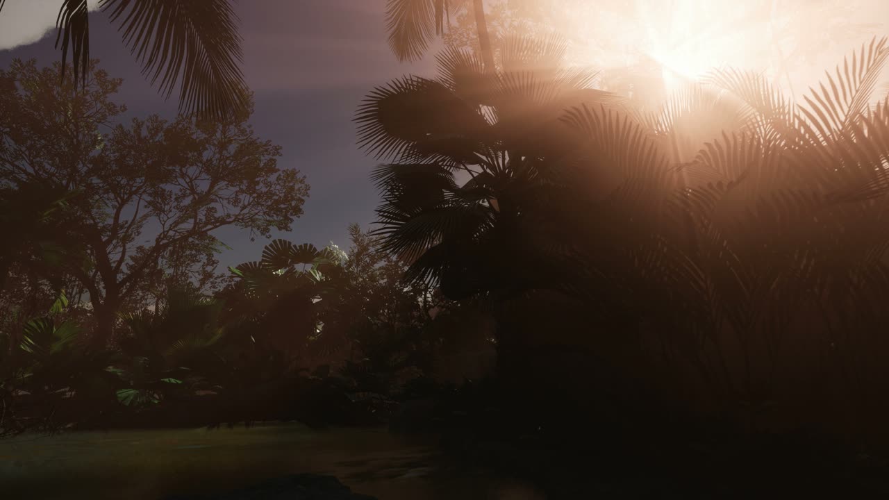 los rayos del atardecer a través de las palmeras