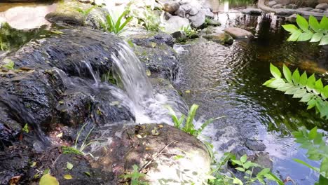 water cascading over rocks into a peaceful pond