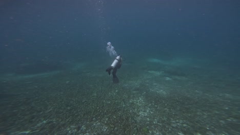 scuba diver swimming in the underwater currents of komodo national park, indonesia