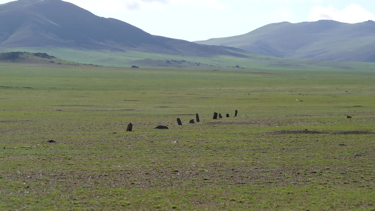 Gamle stående sten i et stort mongolsk steppelandskab
