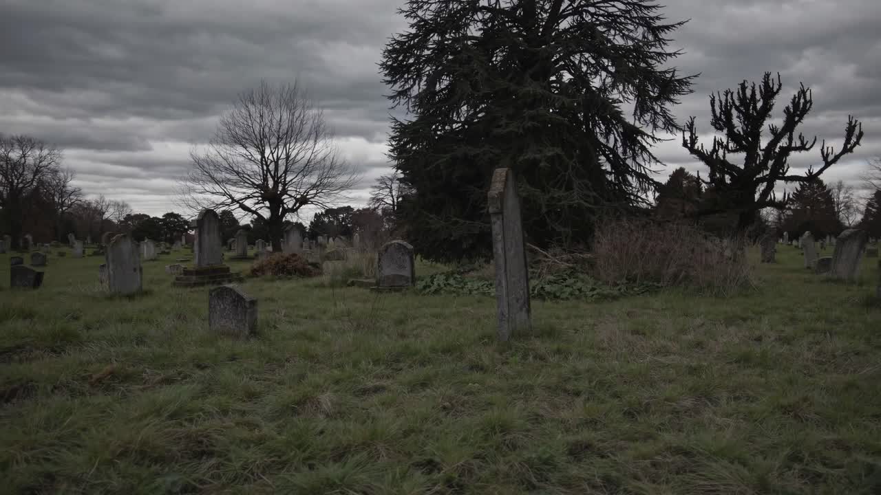 Scena spettrale di un cimitero con ripresa dal basso, che cattura lapidi e alberi scuri sotto un cielo nuvoloso