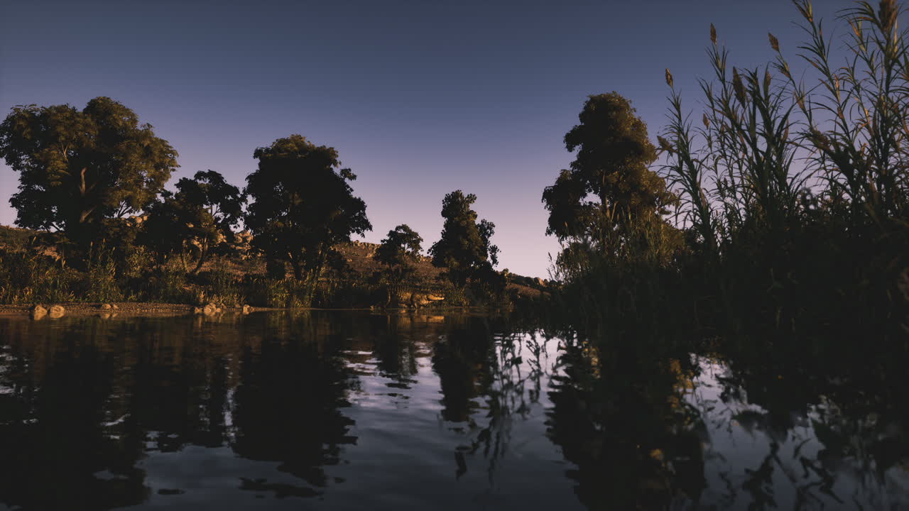 Crocodile resting by the riverbank during twilight hours in nature