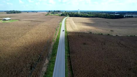 Antena-Siguiendo-El-Coche-Por-Un-Largo-Camino-A-Través-Del-Campo-De-Maíz-En-Kentucky