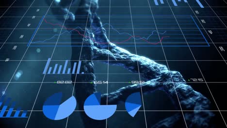 Animation-Blauer-Diagramme-Und-Statistiken,-Die-Sich-über-Einem-Sich-Drehenden-DNA-Stamm-Bilden