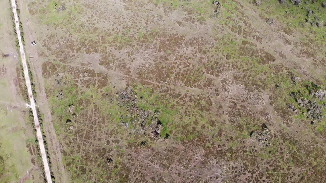 Aerial Birds eye view showcasing the diverse textures and colors of the landscape, creating a visually captivating abstract composition. rising shot