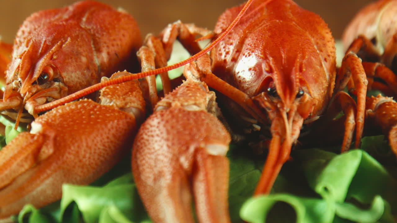 Boiled Crayfish on Lettuce
