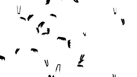 bats flying on white background