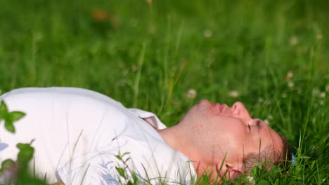 man relaxing on green grass