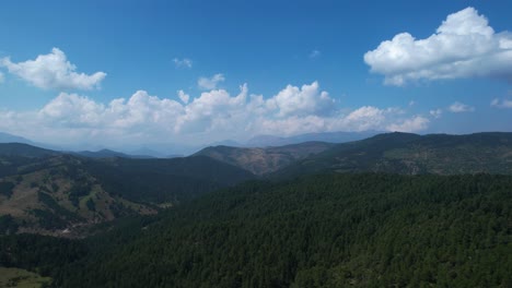 wild forest landscape of green pine trees on mountains under clouds and blue sky, amazing nature background in albania