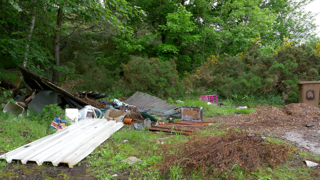 불법 쓰레기, 숲에 투기, 환경 오염 4k