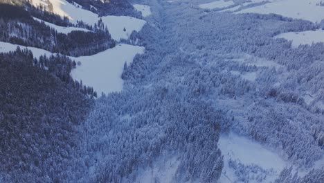 vista aérea que muestra el bosque de hielo nevado