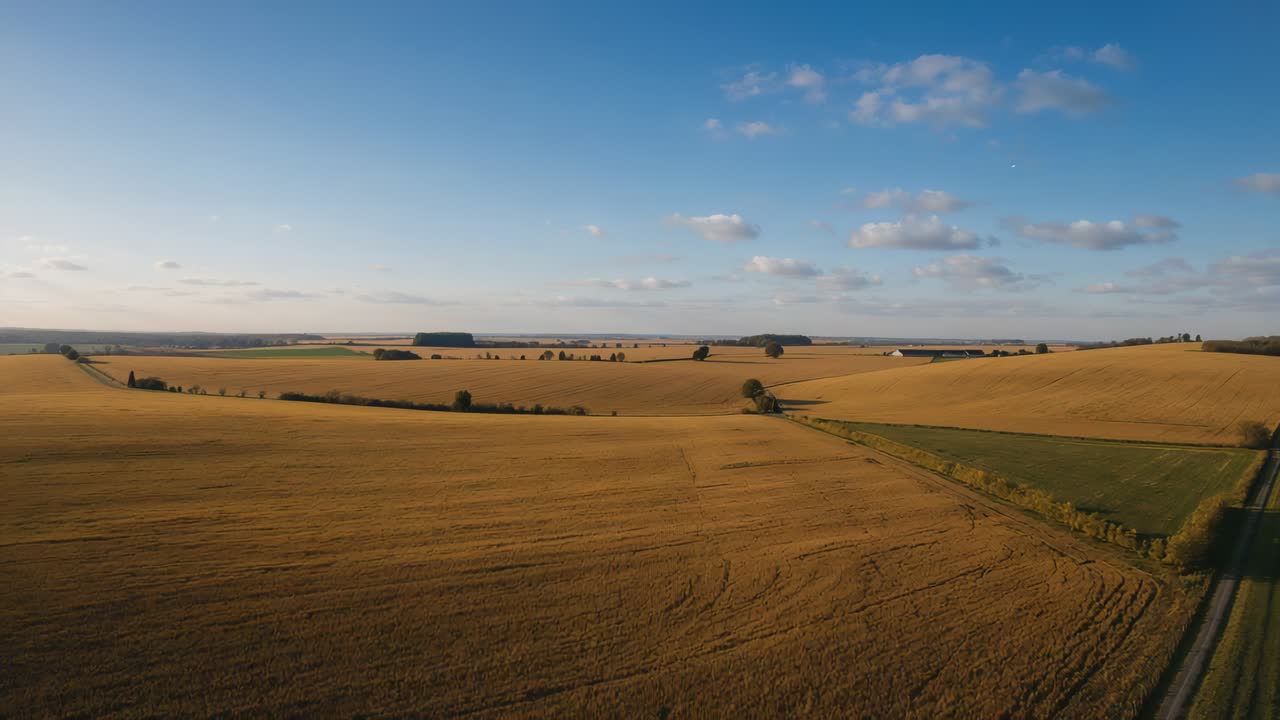 Launching drone surveying golden fields over farmland, showing green patch, hedgerow, tree, track