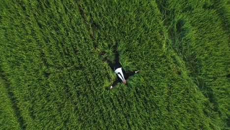 man in suit lying in green grass