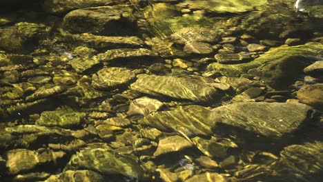 Rocks-glisten-in-the-summer-sunshine-in-a-stream-of-clear-water,-in-Wales