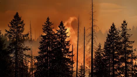 a dramatic transformation: the ravaging power of wildfire captured in two frames, showcasing nature's fiery wrath against resilient tree line
