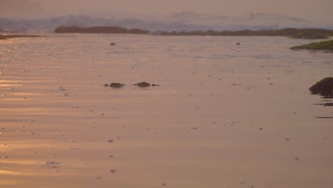 Reflejo-De-La-Luz-Del-Sol-Sobre-La-Tranquila-Superficie-Del-Agua-Del-Mar-En-La-Costa-Al-Amanecer