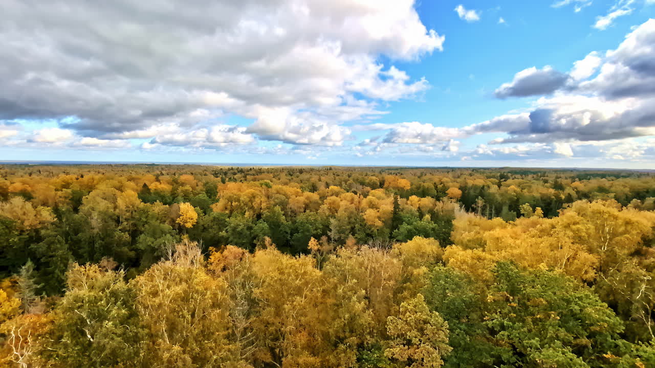 Aerial view of a colorful autumn forest under a partly cloudy sky in Bauska, Latvia. Bauska, Latvia
