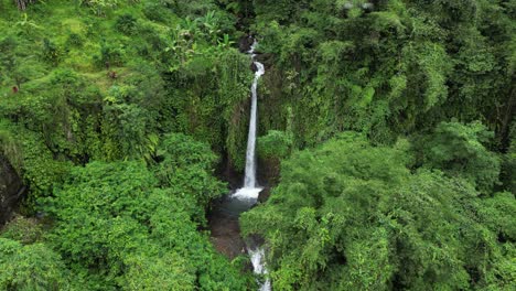 cascadas gemelas en las profundidades de una selva en el este de bali, aérea