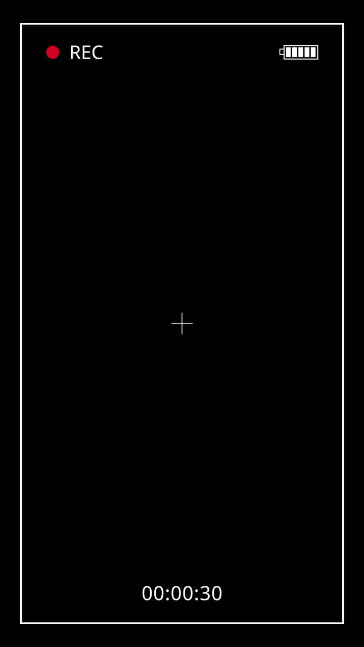 Digital Camera Recording Interface with REC and Battery Indicator