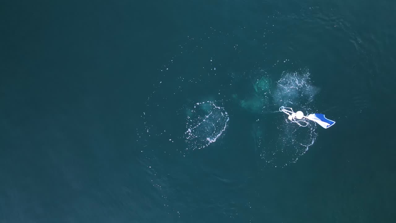 물 표면을 깨뜨리는 거품이 있는 수중 스쿠버 다이버의 독특한 모습