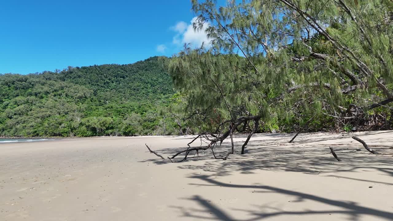 Daylight camera pan reveals tree shadows shifting on empty beach, lush rainforest backdrop, clear sky
