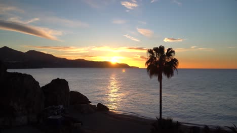 Stunning-ocean-scenery-with-silhouetted-palm-tree-and-beach-at-sunrise