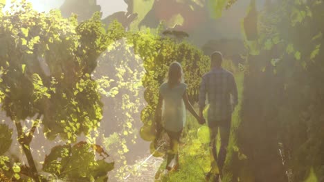 Composite-video-of-close-up-of-leaves-against-rear-view-of-couple-holding-hands-walking-in-garden
