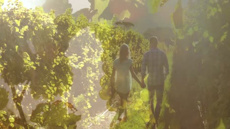 composite video of close up of leaves against rear view of couple holding hands walking in garden