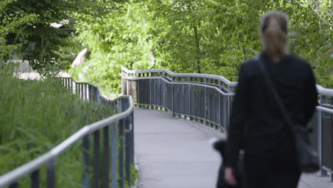 Woman-walking-her-dog-down-a-green-pathway-in-the-city