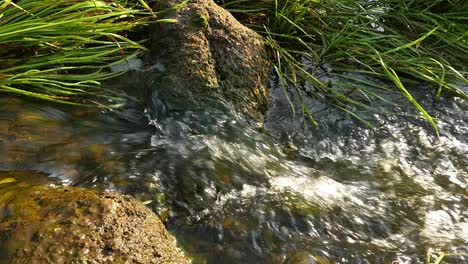 fast flowing river with stones in the water