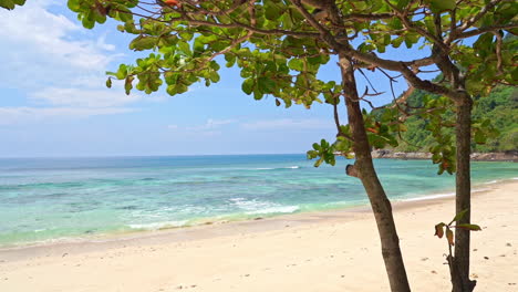 Serene-Empty-Tropical-Beach,-White-Sand-and-Waves,-Vegetation-and-Bird-Flying-on-Sunny-Day