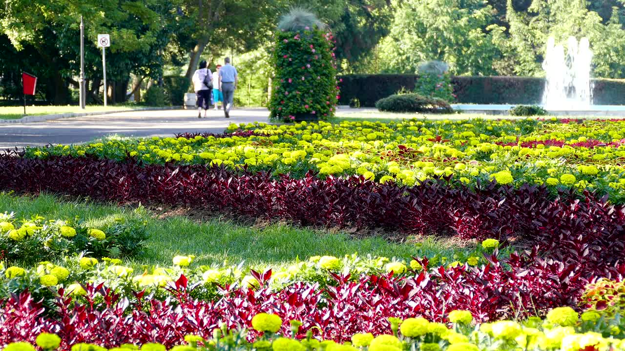 el parque de la ciudad 4k